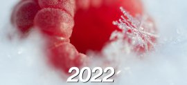 L'équipe de l'agence vous souhaite une délicieuse nouvelle année 2022 !...