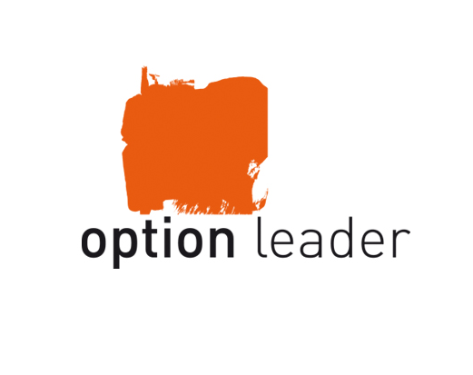 OPTION LEADER